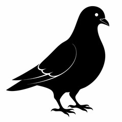 Pigeon Black silhouette