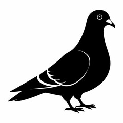 Pigeon Black silhouette