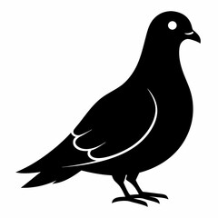 Pigeon Black silhouette