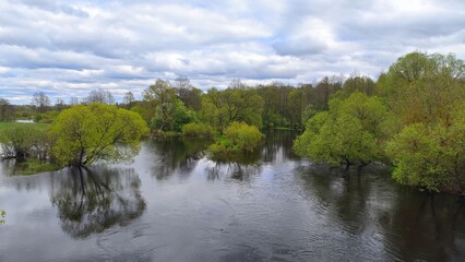 In early spring the river overflows, the water is high and muddy. The fast current floods the floodplain and bushes on the banks. The water reflects trees with young leaves and the sky with clouds