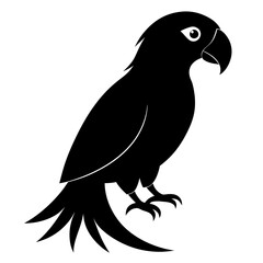 Parrot Black silhouette