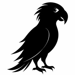 Parrot Black silhouette