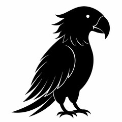 Parrot Black silhouette
