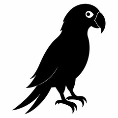 Parrot Black silhouette