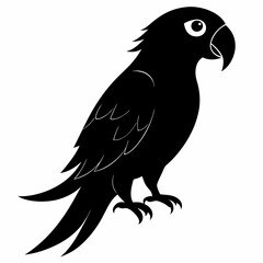 Parrot Black silhouette