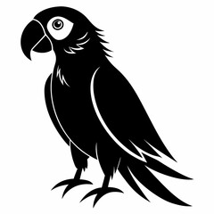 Parrot Black silhouette