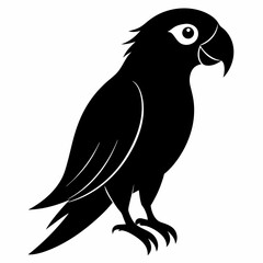 Parrot Black silhouette