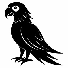 Parrot Black silhouette