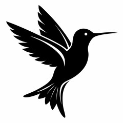 Hummingbird Black silhouette