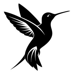 Hummingbird Black silhouette