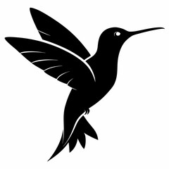 Hummingbird Black silhouette