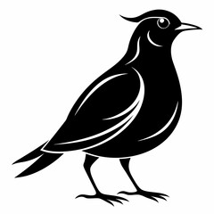 Skylark Black silhouette