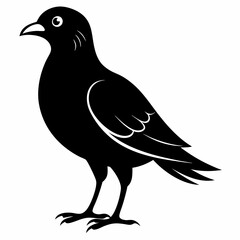 Skylark Black silhouette