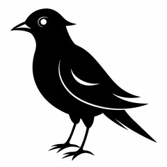Skylark Black silhouette