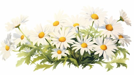 Obraz premium Watercolor daisies perfect for home decor, greeting cards, invitations, and branding materials.