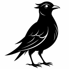 Skylark Black silhouette