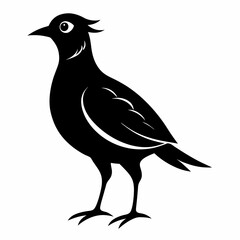 Skylark Black silhouette