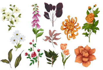 Hand drawn flowers and roses collection