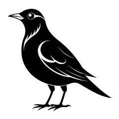 Skylark Black silhouette