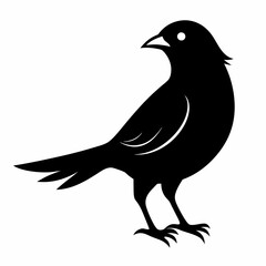 Skylark Black silhouette