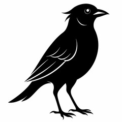 Skylark Black silhouette
