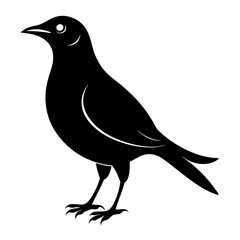 Skylark Black silhouette