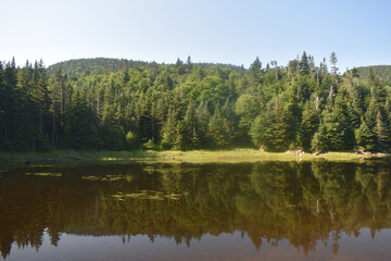 Sentiers Sutton Dos Orignal 14 Juillet 2024