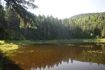 Sentiers Sutton Dos Orignal 14 Juillet 2024