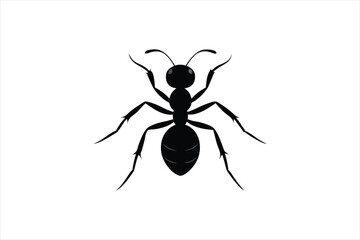 an ant silhouette black vector artwork illustration