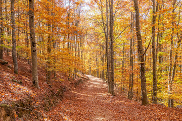 Outono - Serra da Estrela
