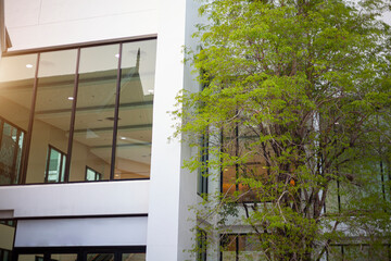 Eco-friendly building in the modern city.