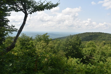 Sentiers Sutton Dos Orignal 14 Juillet 2024