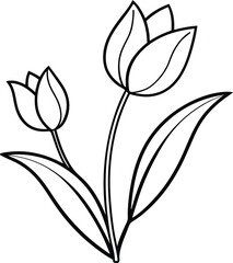 Elegant Tulip Line Art Silhouette Vector Flower, tropical tulip blooming single line art, Beautiful Floral Designs