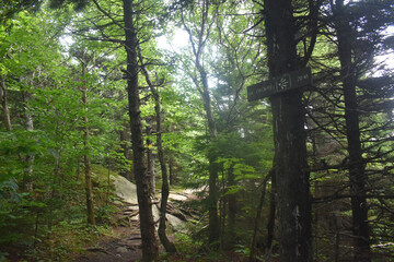 Sentiers Sutton Dos Orignal 14 Juillet 2024