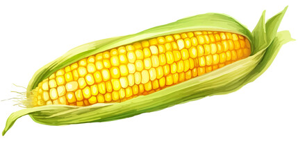 Cute corn in watercolor isolated on a stark white background