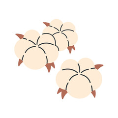 Cotton plant with cotton bolls and leaves. Cotton flower, natural blossom fluffy fiber. Vector illustration in flat style
