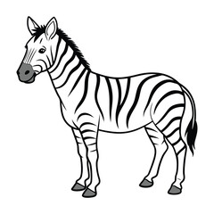 A Zebra Vector Art Illustration