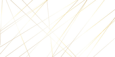 Abstract background with lines. Golden lines on White paper. Line wavy abstract vector technology line pattern background.