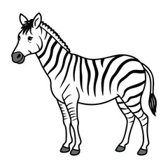 A Zebra Vector Art Illustration