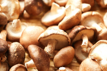 椎茸が一面に並んで干してある写真　日本のキノコ