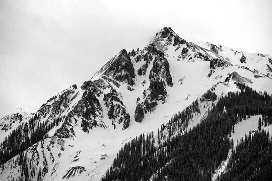 Snow at Lizards Head Passs