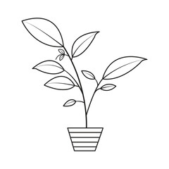 Vector silhouette of growing plant. Hand drawn leaf. Growing sprout plant continuous line.