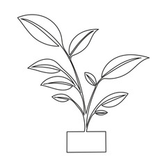 Vector silhouette of growing plant. Hand drawn leaf. Growing sprout plant continuous line.