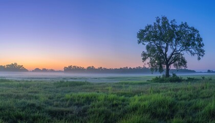 Obraz premium A serene sunrise over a lush field under a pristine blue sky Soft hues of morning light paint