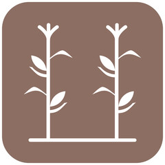 Cornstalks vector icon. Can be used for Festa Junina iconset.