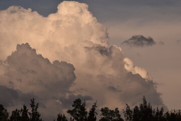 Cielo con grandes nubes oscuras sobre el bosque