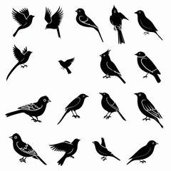 Obraz premium Bird icon set, black and white sparrow symbols, bird sign collection, wild animal pictograms on white
