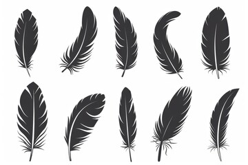Feather icon, animal feathers isolated, black plume symbol, minimal plume silhouette on white