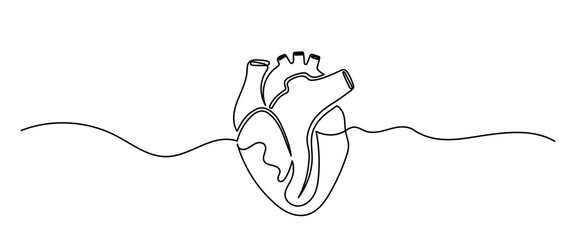 Human heart, Continuous single-line drawing of  human internal organ. The concept of a health care happy Healthy lifestyle. Human heart Vector illustration.

