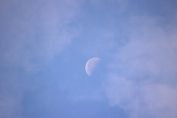 下弦の月　Halfmoon